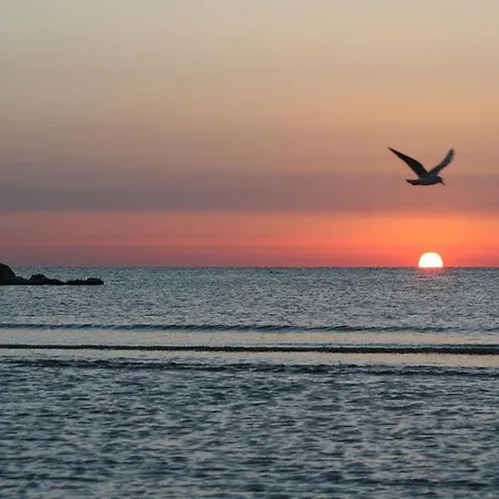 Hotel La Terrazza 3*