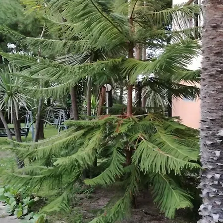 La Terrazza 3* Porto San Giorgio