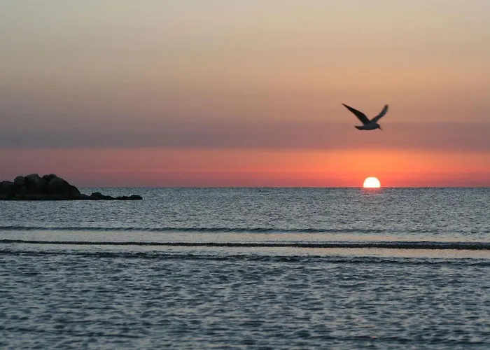 Hotel La Terrazza 3*