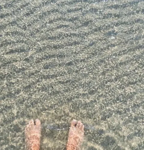 La Terrazza Hotel 3*