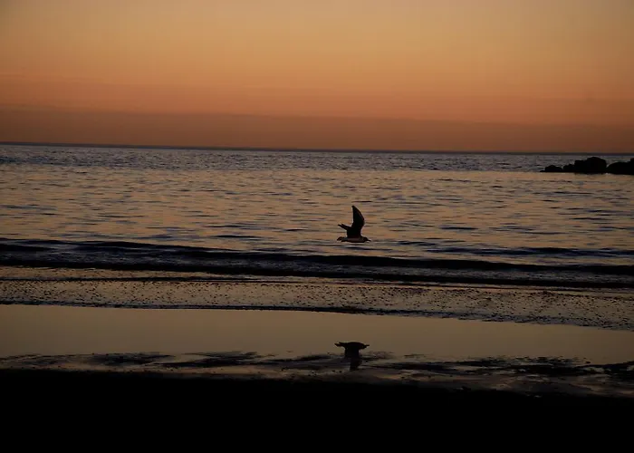 Hotel La Terrazza 3*